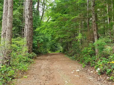 View 40