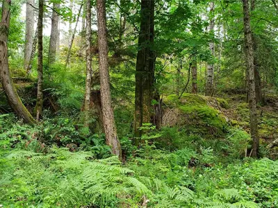 View 35