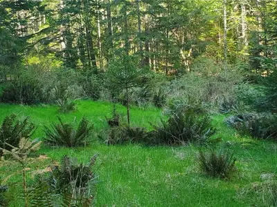 View 31