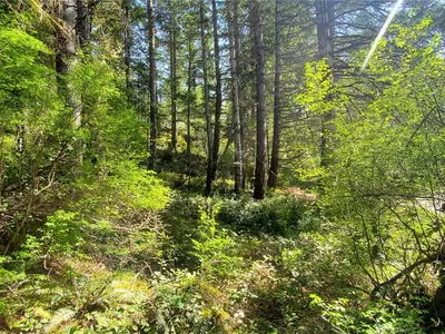 View 64