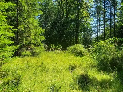 View 29