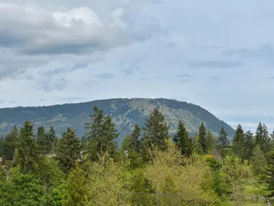 View 61