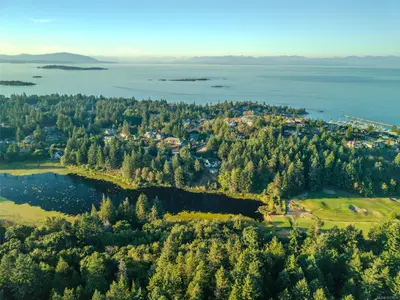 View 50