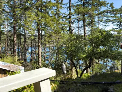 View 47