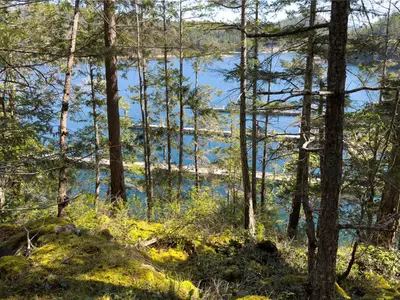 View 59