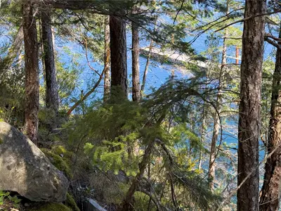 View 58