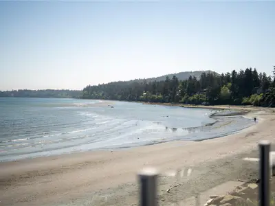View 25
