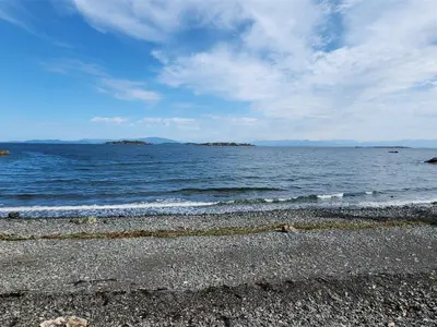 View 45