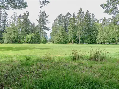 View 43