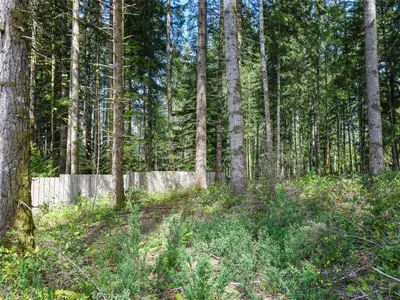 View 42