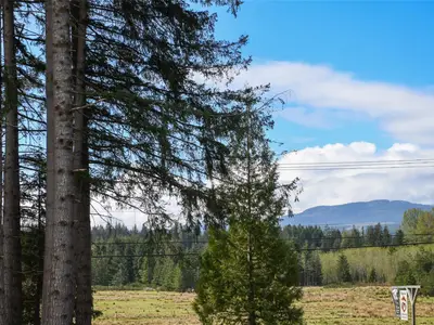 View 12