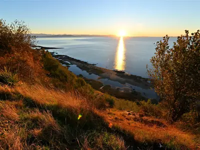View 21