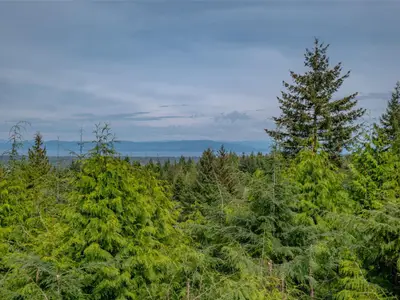 View 77