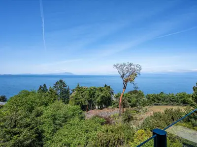 View 25