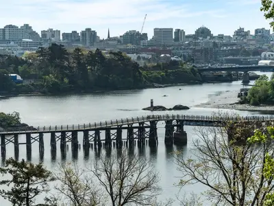 View 12