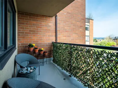 View 25