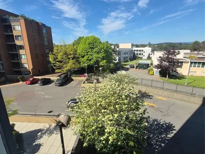 View 21