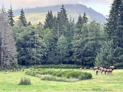 View 46