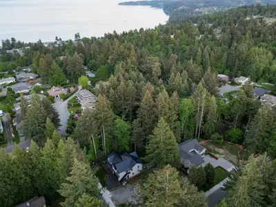 View 84