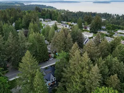 View 83