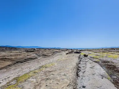 View 18