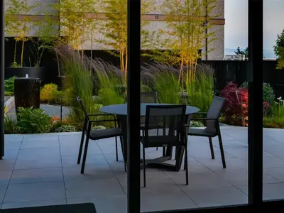 View 66
