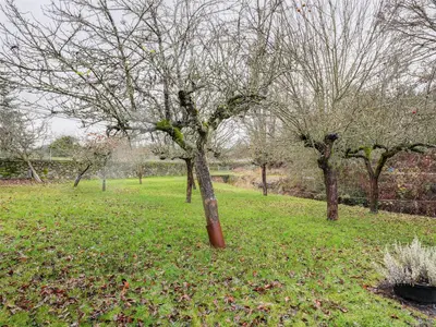 View 31