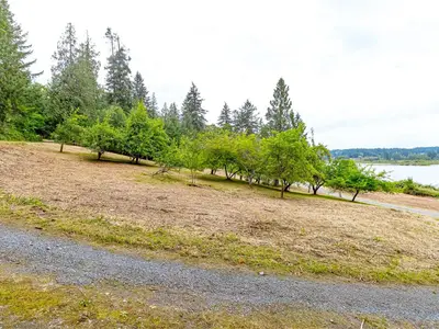 View 73