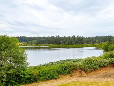 View 74