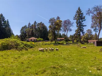 View 51