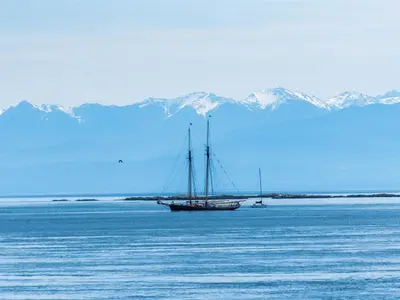 View 91