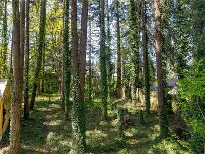 View 36