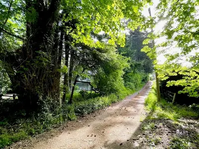 View 17