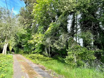 View 18
