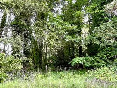 View 15