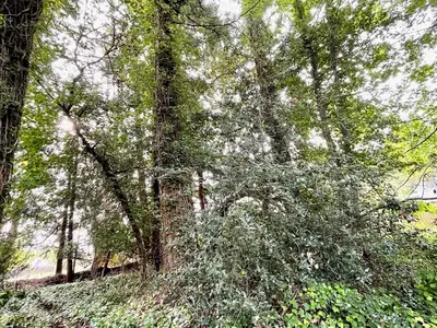 View 11