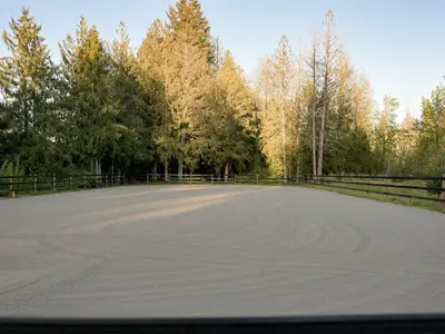 View 6