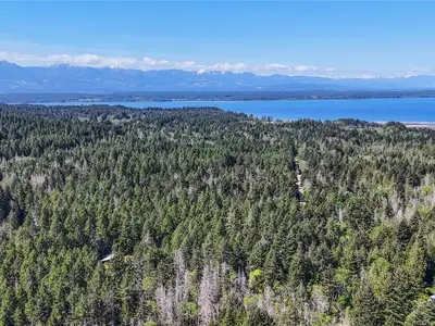 View 53
