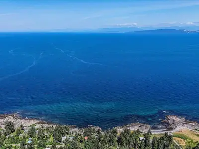 View 49