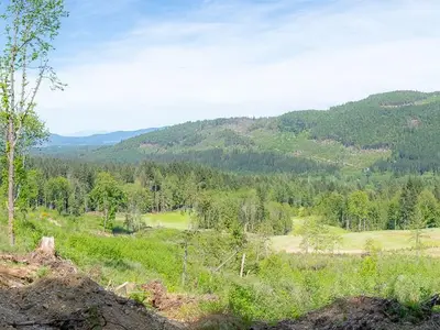 View 57