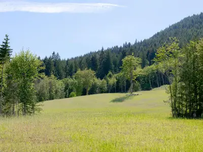 View 58