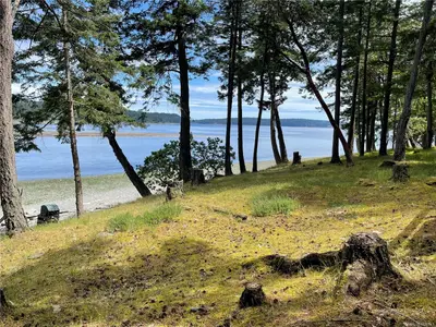 View 71