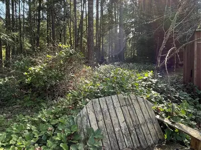 View 68