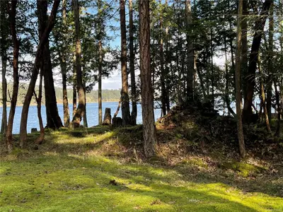 View 64