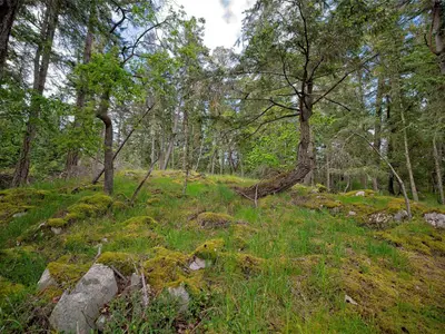 View 23