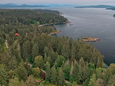View 12
