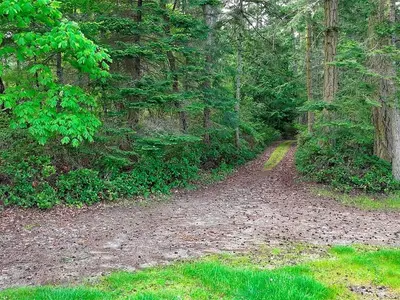 View 26
