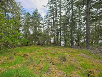 View 24