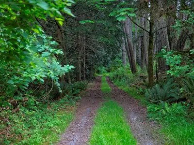 View 14