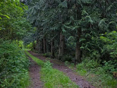 View 15